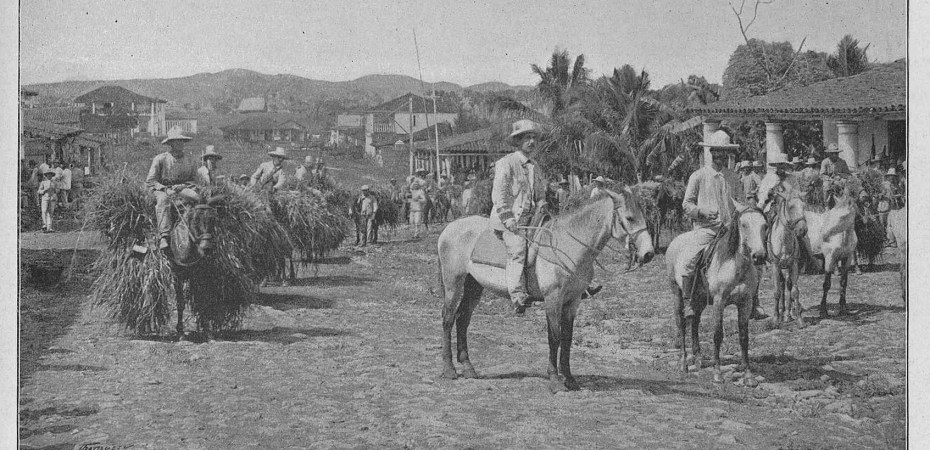 Spanish troops in Cuba