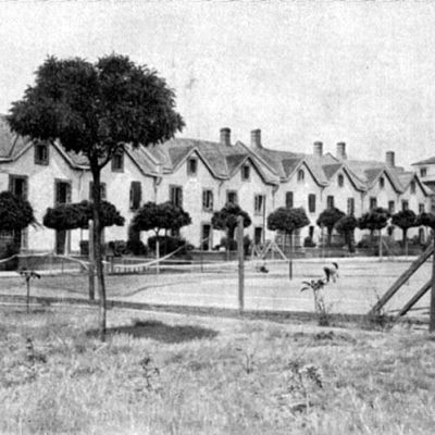 Cricket in Rio Tinto